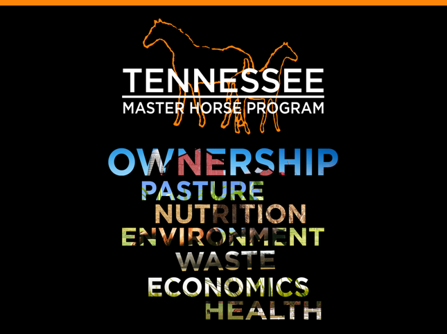 Tennessee Master Horse logo